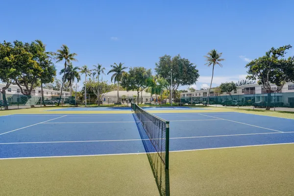 a view of a park with palm trees