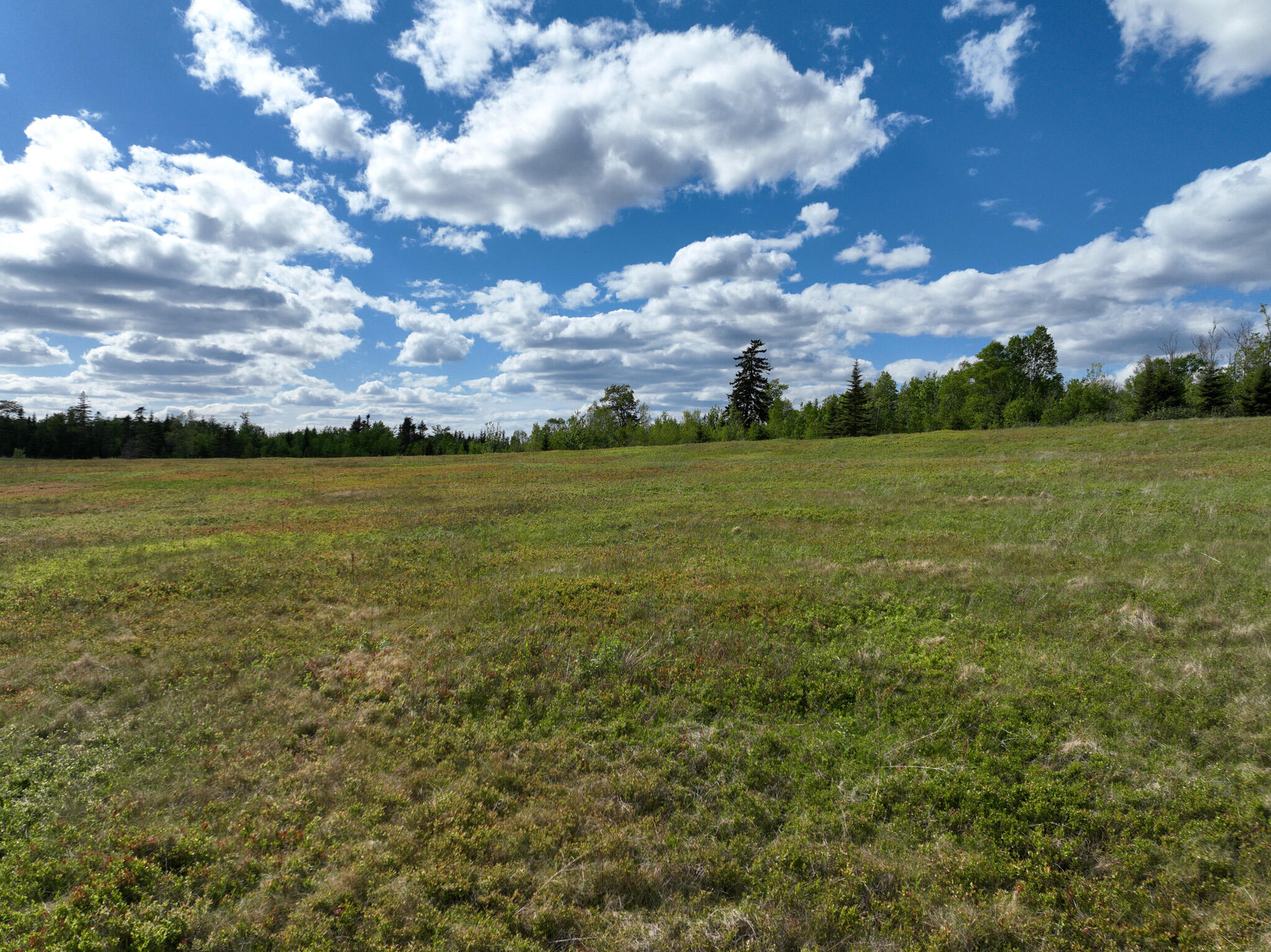 18-05 Number 9 Road Lubec, ME 04652 - Photo 11 of 43 DJI_0397