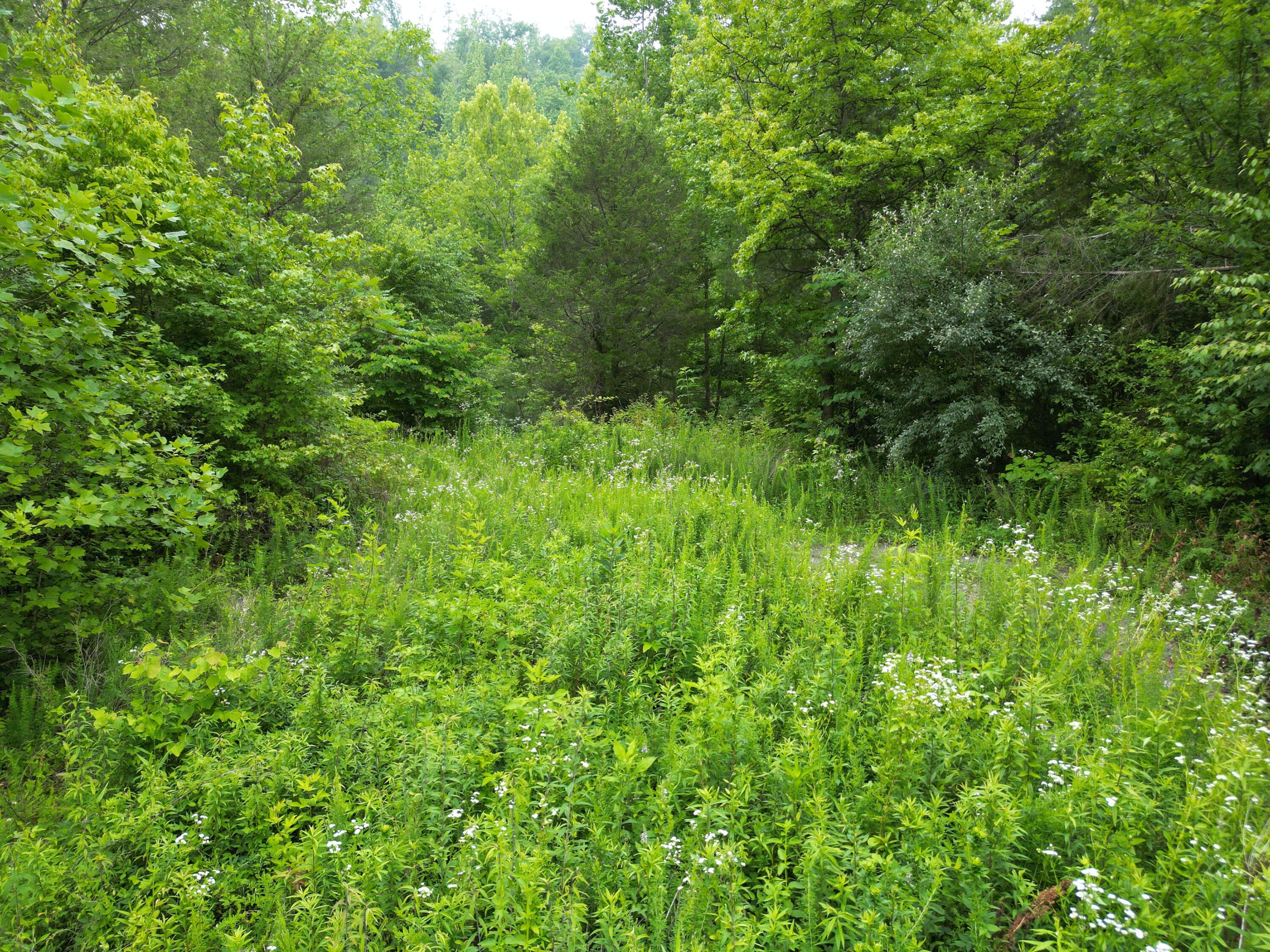 9991 Big Wildcat Road Manchester, KY 40962 - Photo 1 of 19 DJI_0126