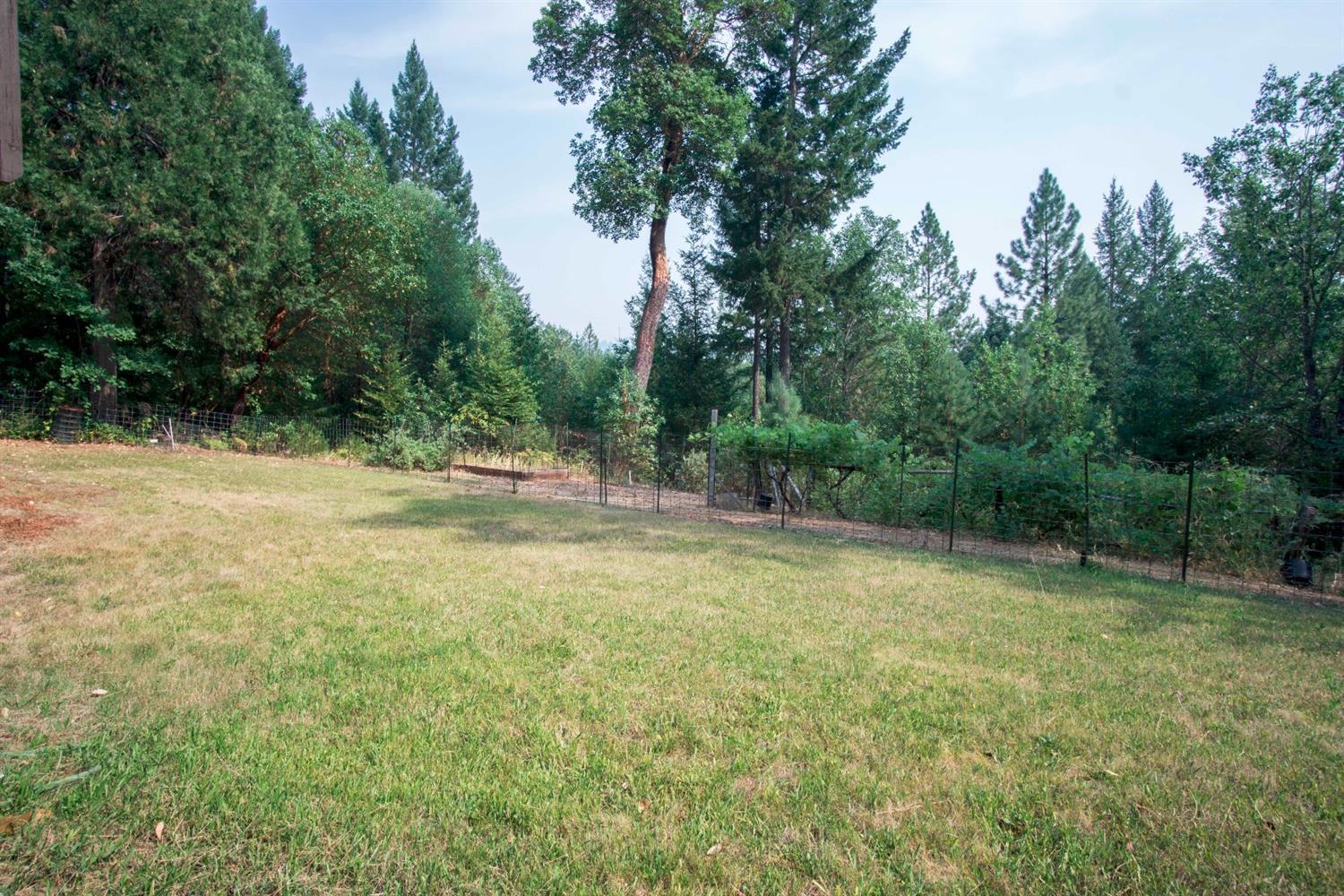 2023 Deer Creek Road Selma, OR 97538 - Photo 4 of 35 Additional Photo
