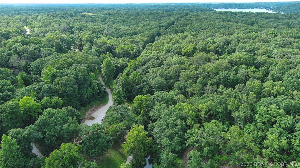 Tbd Silver Moon Resort Road Gravois Mills, MO 65037 - Photo 3 of 22