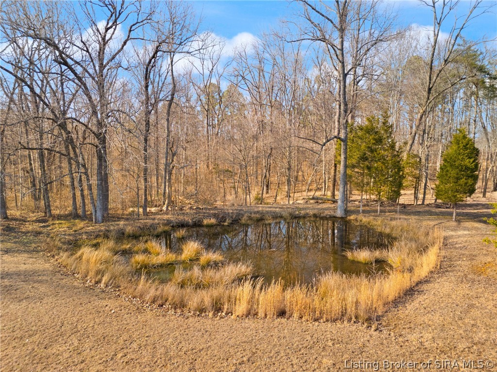 6688 East Pilot Knob Road Milltown, IN 47145 - Photo 3 of 60