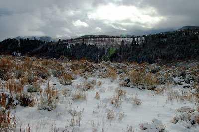184 Redtail Edwards, CO 81632 - Photo 3 of 3 Additional Photo