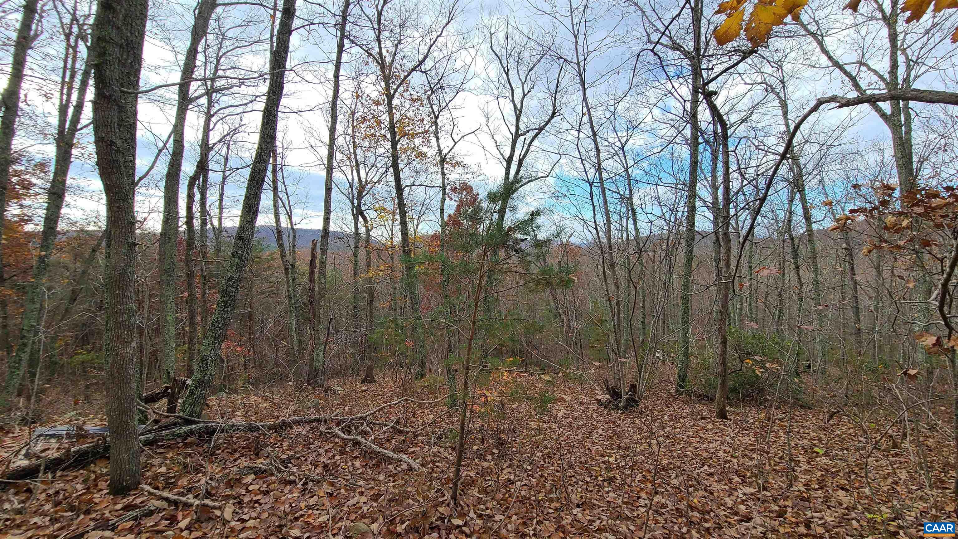 7-8 Welsh Mountain Road Shipman, VA 22971 - Photo 19 of 23 Gallery Image 19