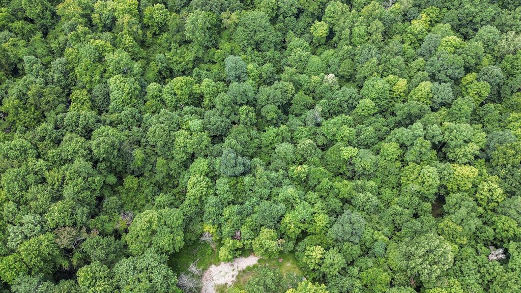0 Calaway Road, Unit TRACT 5) Coolville, OH 45723 - Photo 23 of 32 DJI_0017