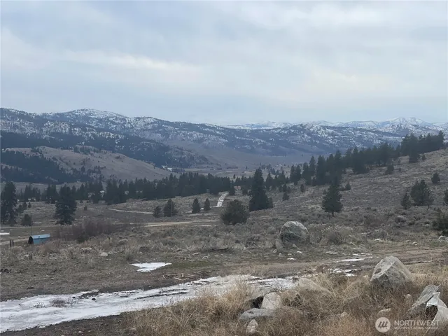 a view of a dry yard with mountains in the background
