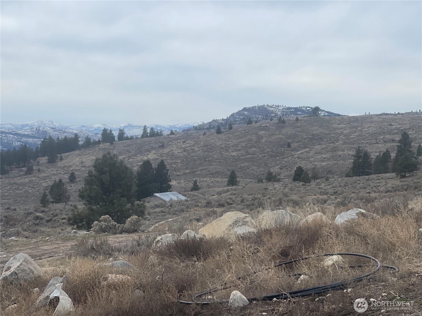 172 Cayuse Mountain Road Tonasket, WA 98855 - Photo 12 of 40