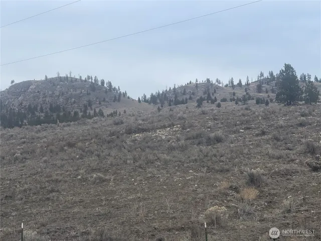 a view of a dry yard with trees in the background