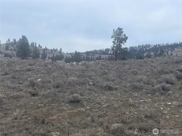 a view of a dry field