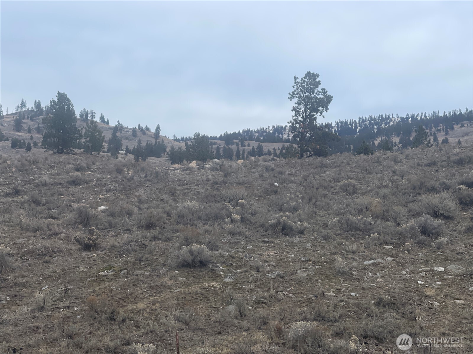 172 Cayuse Mountain Road Tonasket, WA 98855 - Photo 24 of 40