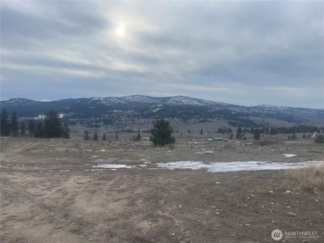 a view of a yard with an outdoor space