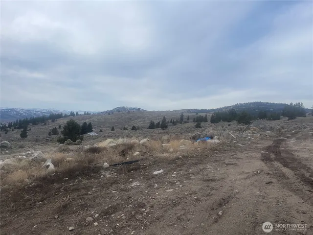 a view of a dry yard