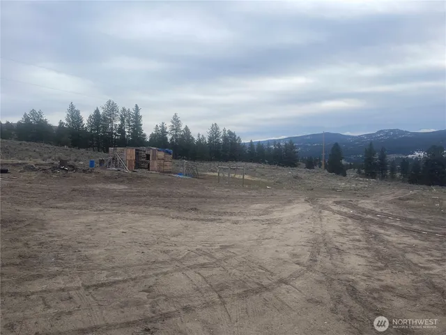 a view of a dry yard with trees