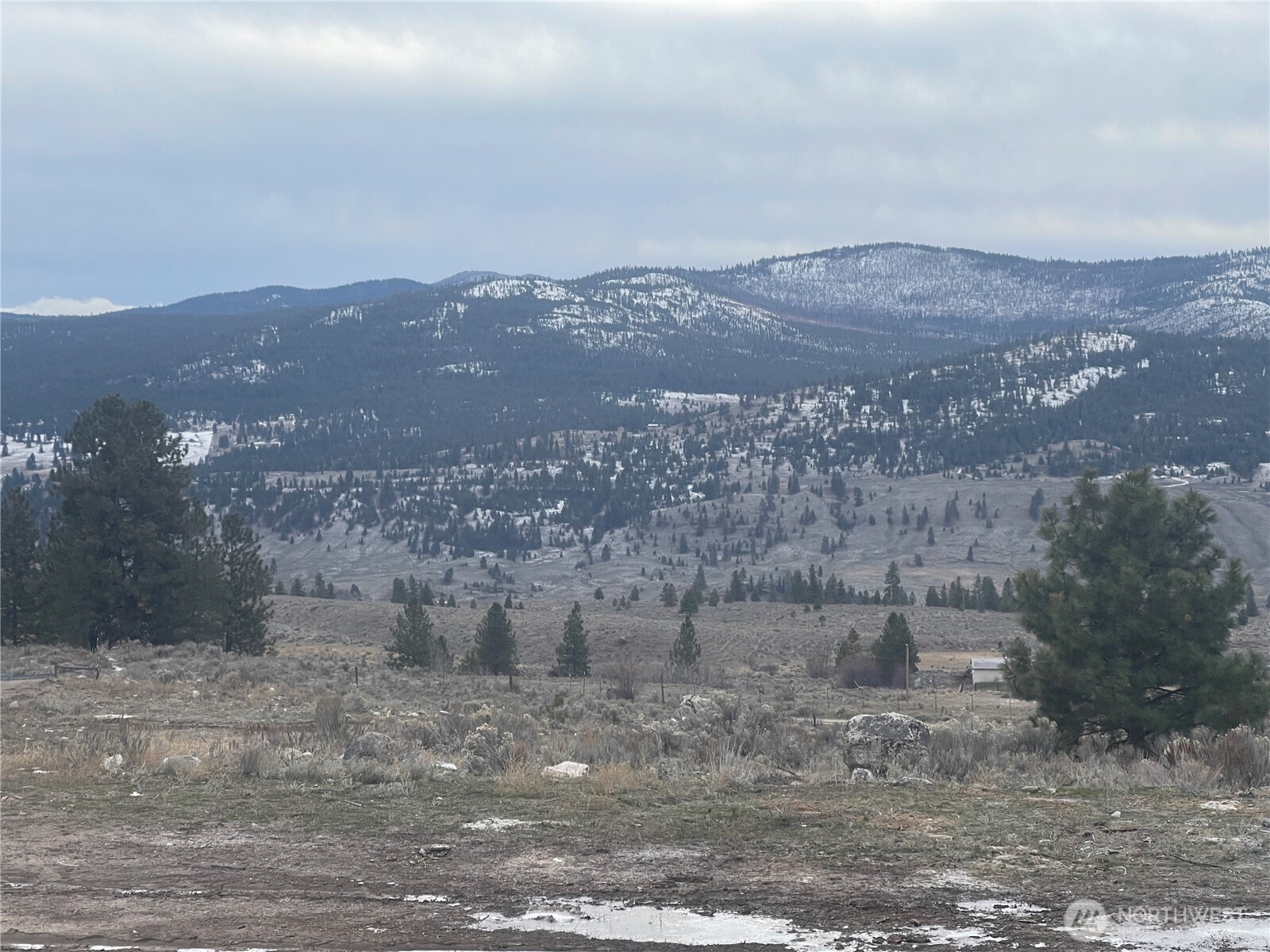 172 Cayuse Mountain Road Tonasket, WA 98855 - Photo 9 of 40