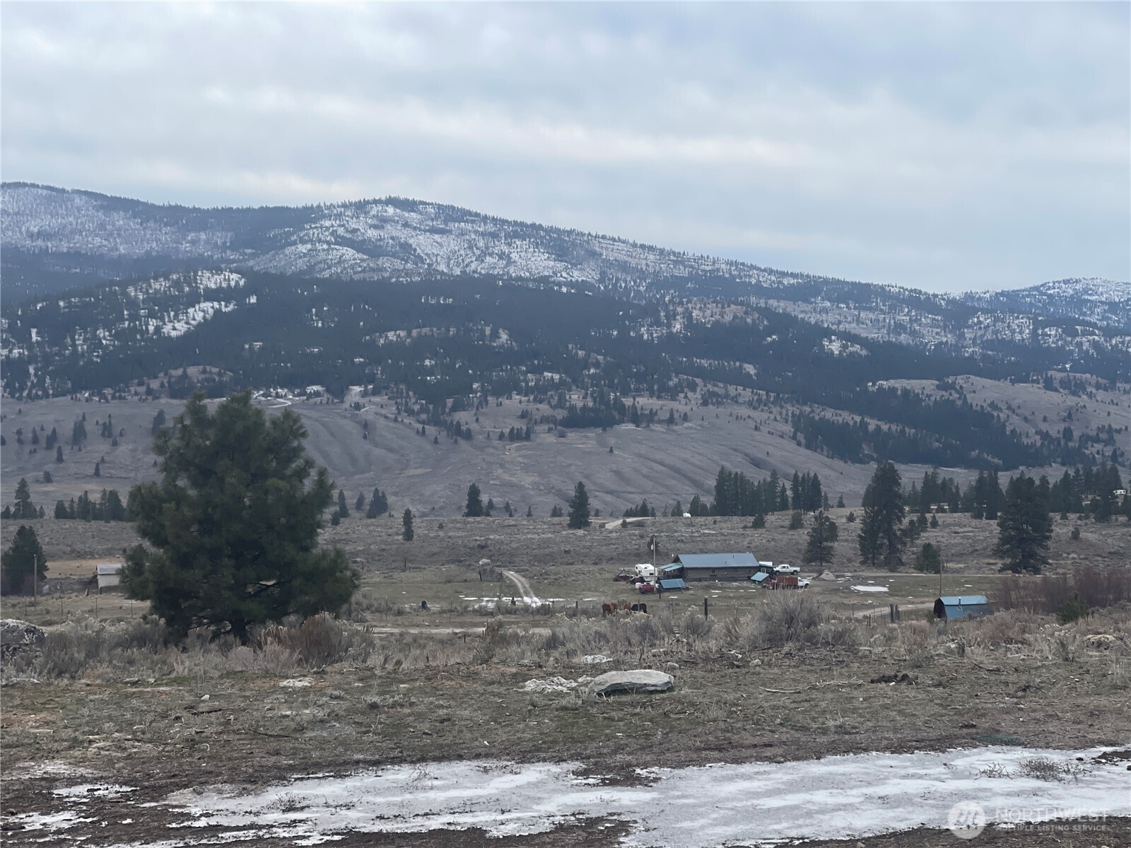 172 Cayuse Mountain Road Tonasket, WA 98855 - Photo 10 of 40