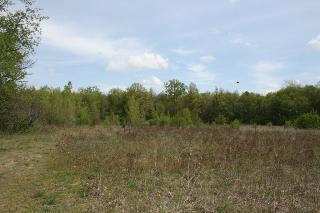 8175 Summerfield Road Petersburg, MI 49270 - Photo 18 of 20 Meadow
