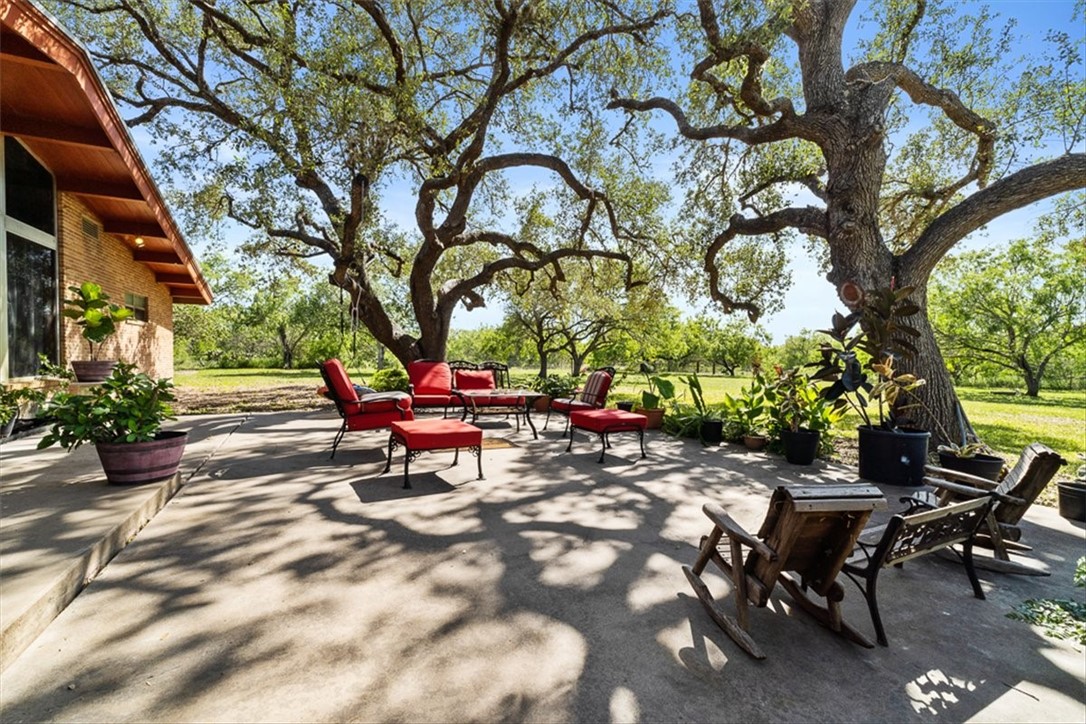 9675 County Road 325 Mathis, TX 78368 - Photo 9 of 29 a view of a bench in a backyard