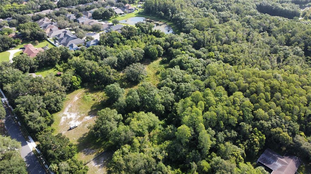 0 Cain Road Tampa, FL 33625 - Photo 3 of 10