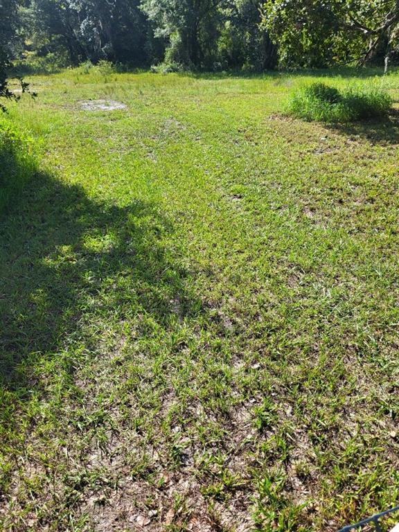 0 Cain Road Tampa, FL 33625 - Photo 5 of 10