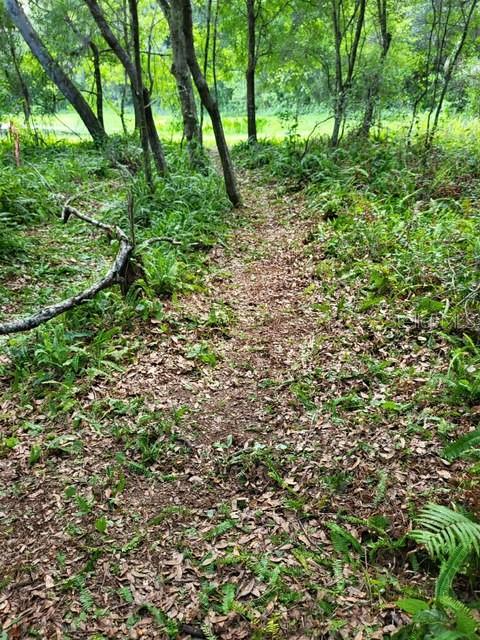 0 Cain Road Tampa, FL 33625 - Photo 7 of 10