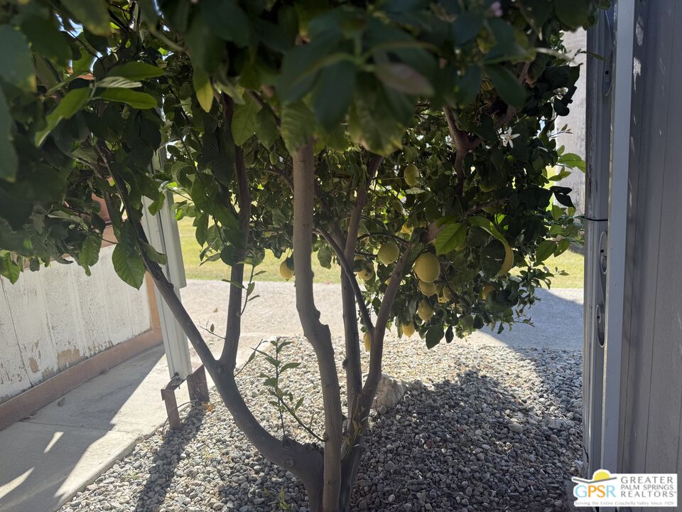 15500 Bubbling Wells Road, Unit 286 Desert Hot Springs, CA 92240 - Photo 25 of 50 a view of tree covered with snow