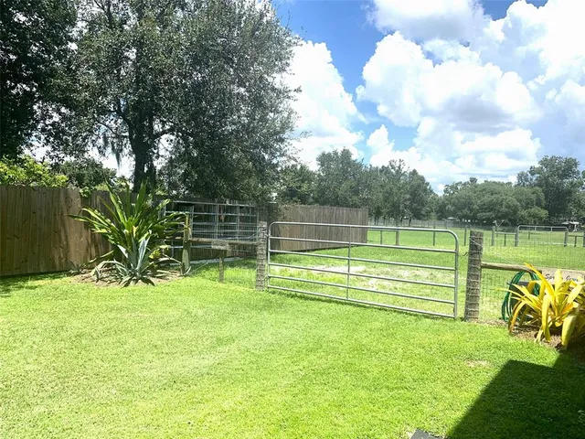 a view of a park with large trees