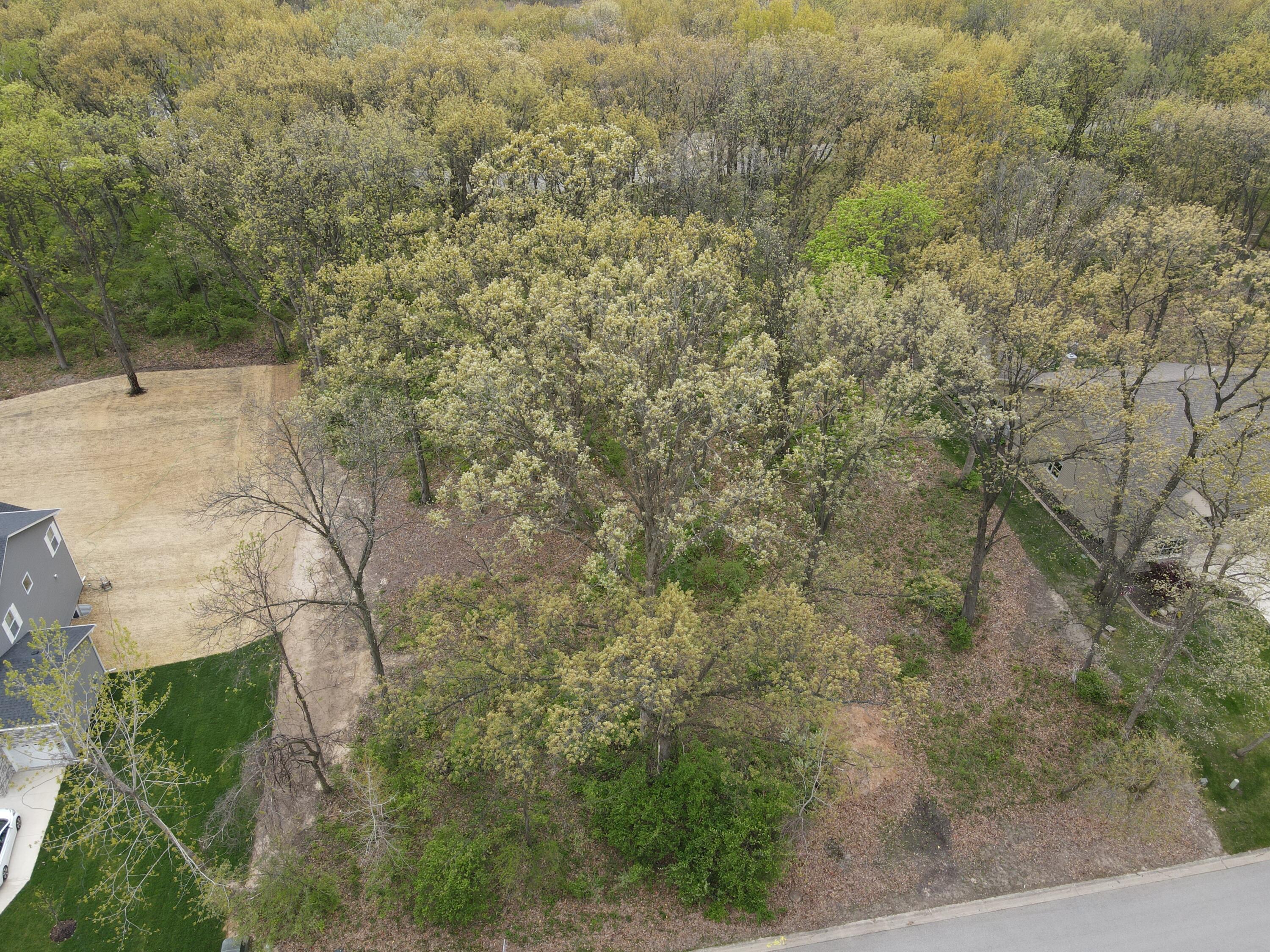 742 Druim Trail Crown Point, IN 46307 - Photo 3 of 9 a view of a yard