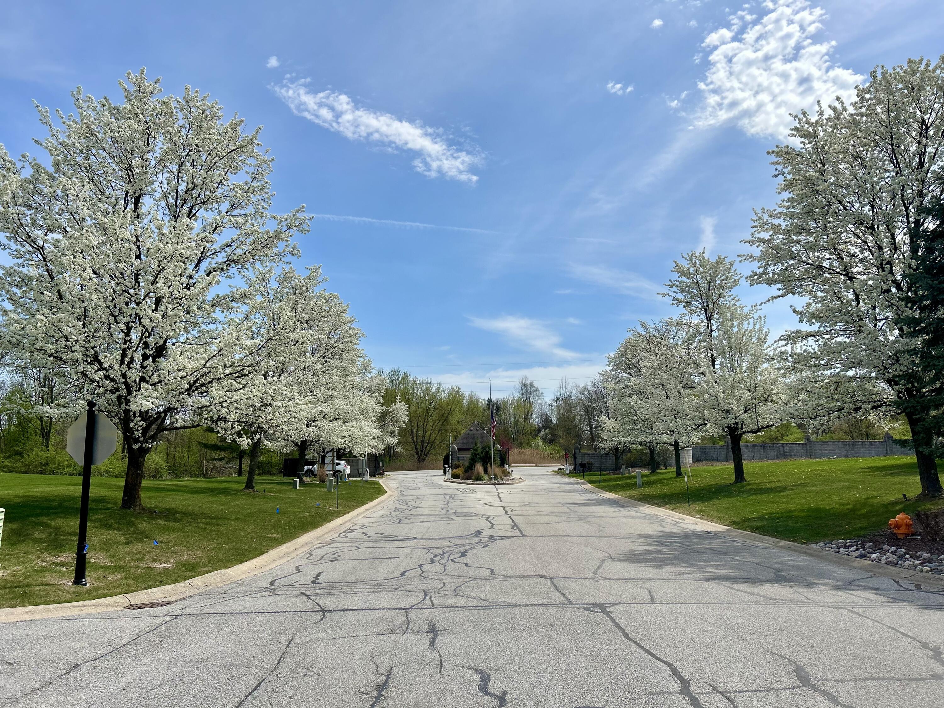 742 Druim Trail Crown Point, IN 46307 - Photo 6 of 9 a view of a park with large trees