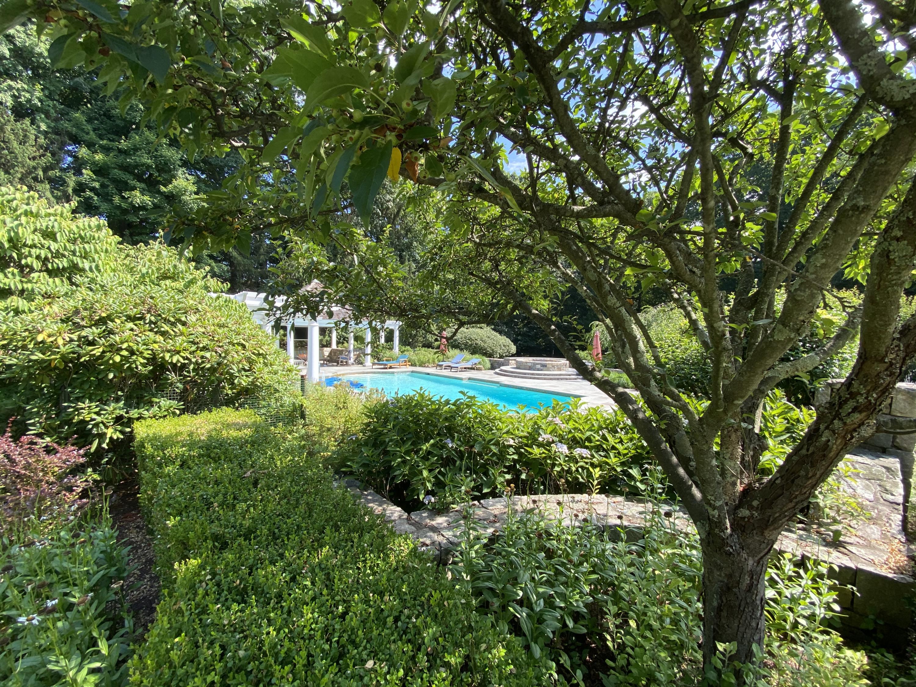 83 Lukes Wood Road New Canaan, CT 06840 - Photo 41 of 51 a view of yard with green space