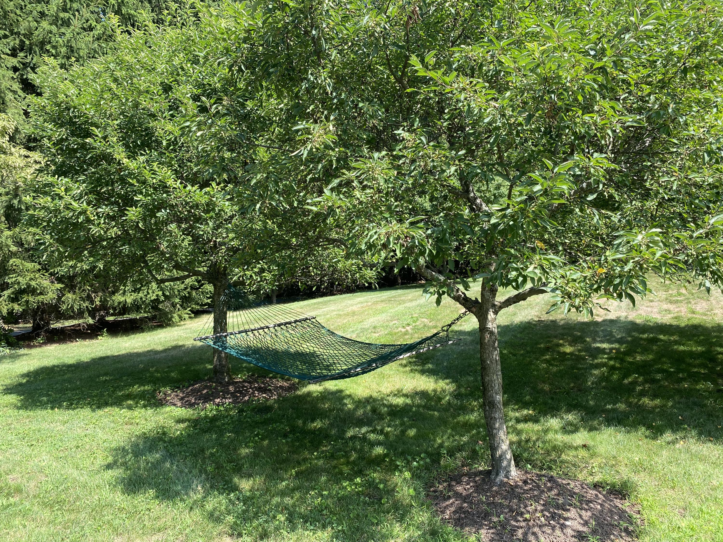 83 Lukes Wood Road New Canaan, CT 06840 - Photo 45 of 51 a view of a garden
