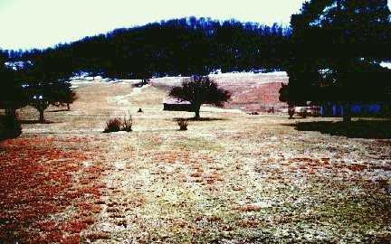176 Shortcut Road Jefferson, PA 15344 - Photo 4 of 4