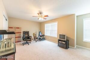 338 Pistole Road Sparta, TN 38583 - Photo 29 of 39 a view of workspace with windows