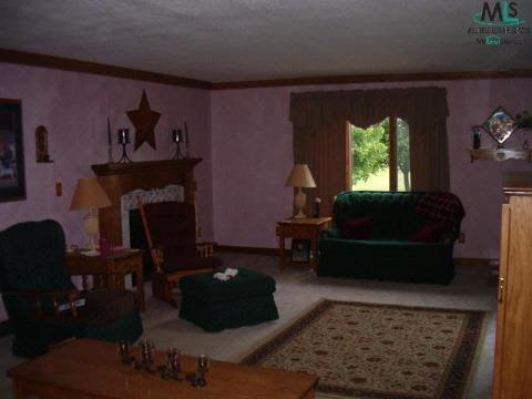 6370 Richards Road Marlette, MI 48453 - Photo 10 of 12 936813-9.JPG