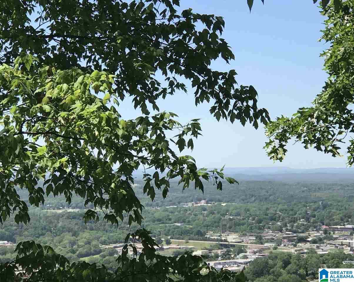 728 Hillyer High Road, Unit 9 Anniston, AL 36207 - Photo 2 of 8