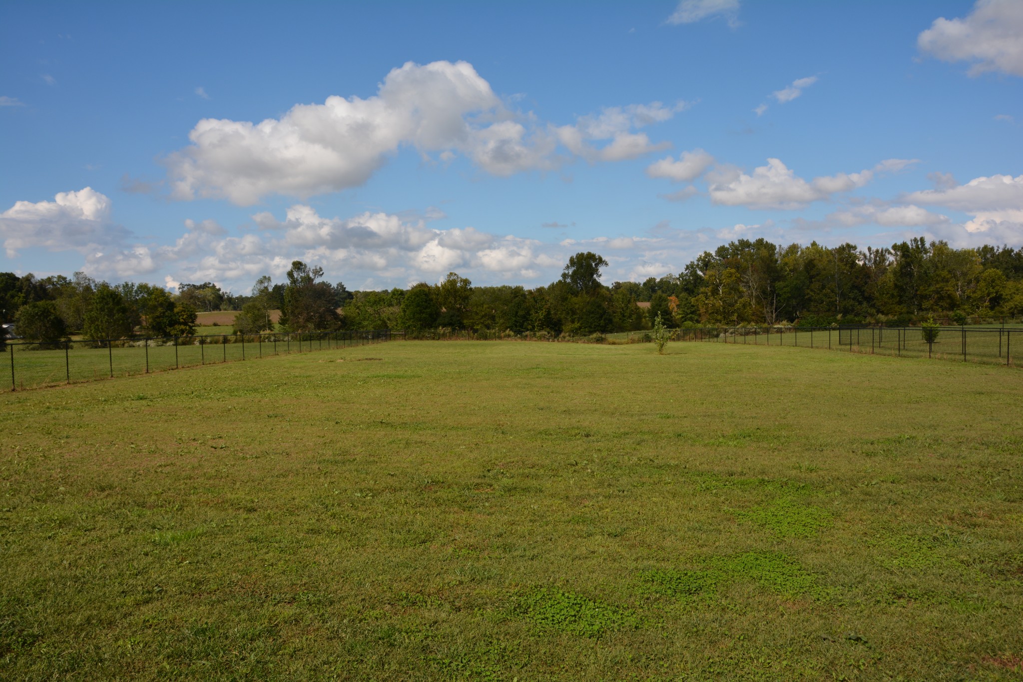 675 Elrod Road Manchester, TN 37355 - Photo 6 of 39 a view of a lake and mountain in the back