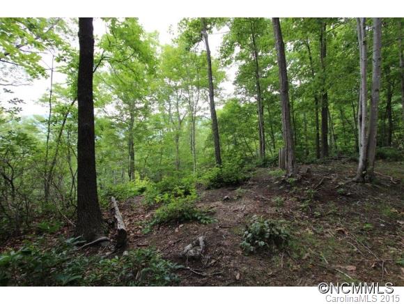 28 Chapel Point Road, Unit 28 Lake Lure, NC 28746 - Photo 12 of 13