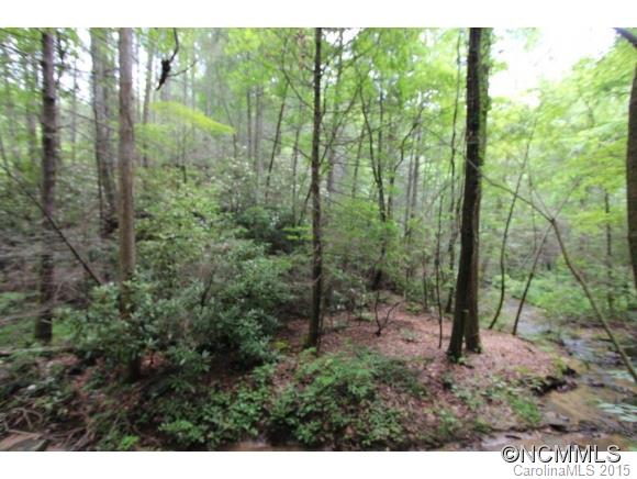 28 Chapel Point Road, Unit 28 Lake Lure, NC 28746 - Photo 4 of 13