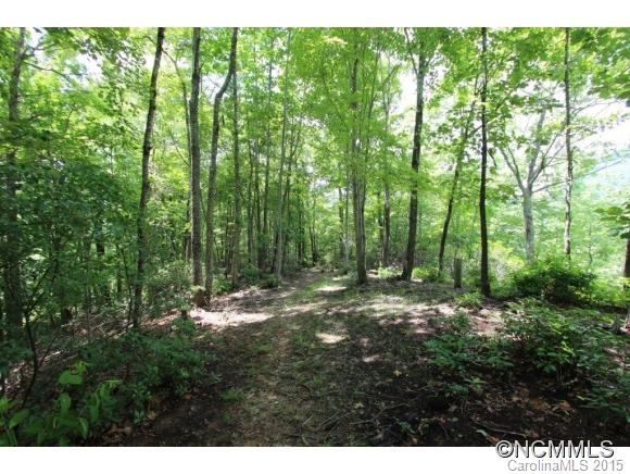 28 Chapel Point Road, Unit 28 Lake Lure, NC 28746 - Photo 8 of 13