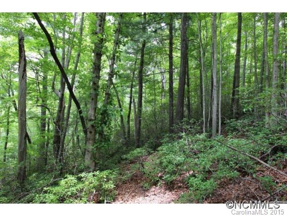 28 Chapel Point Road, Unit 28 Lake Lure, NC 28746 - Photo 9 of 13