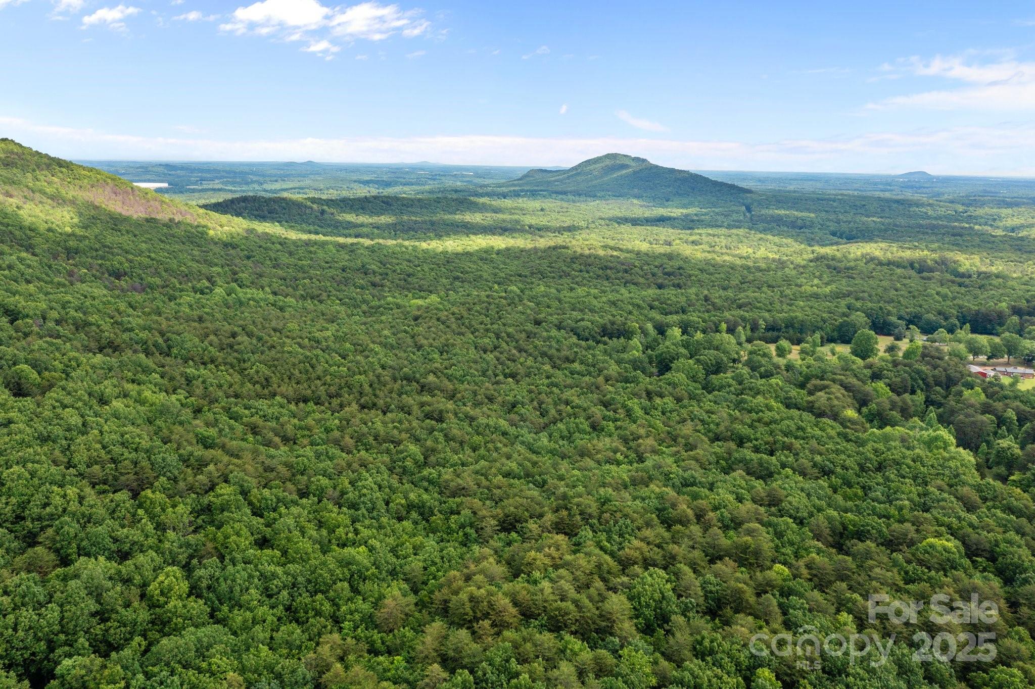 0 Pinnacle Road Kings Mountain, NC 28086 - Photo 7 of 12