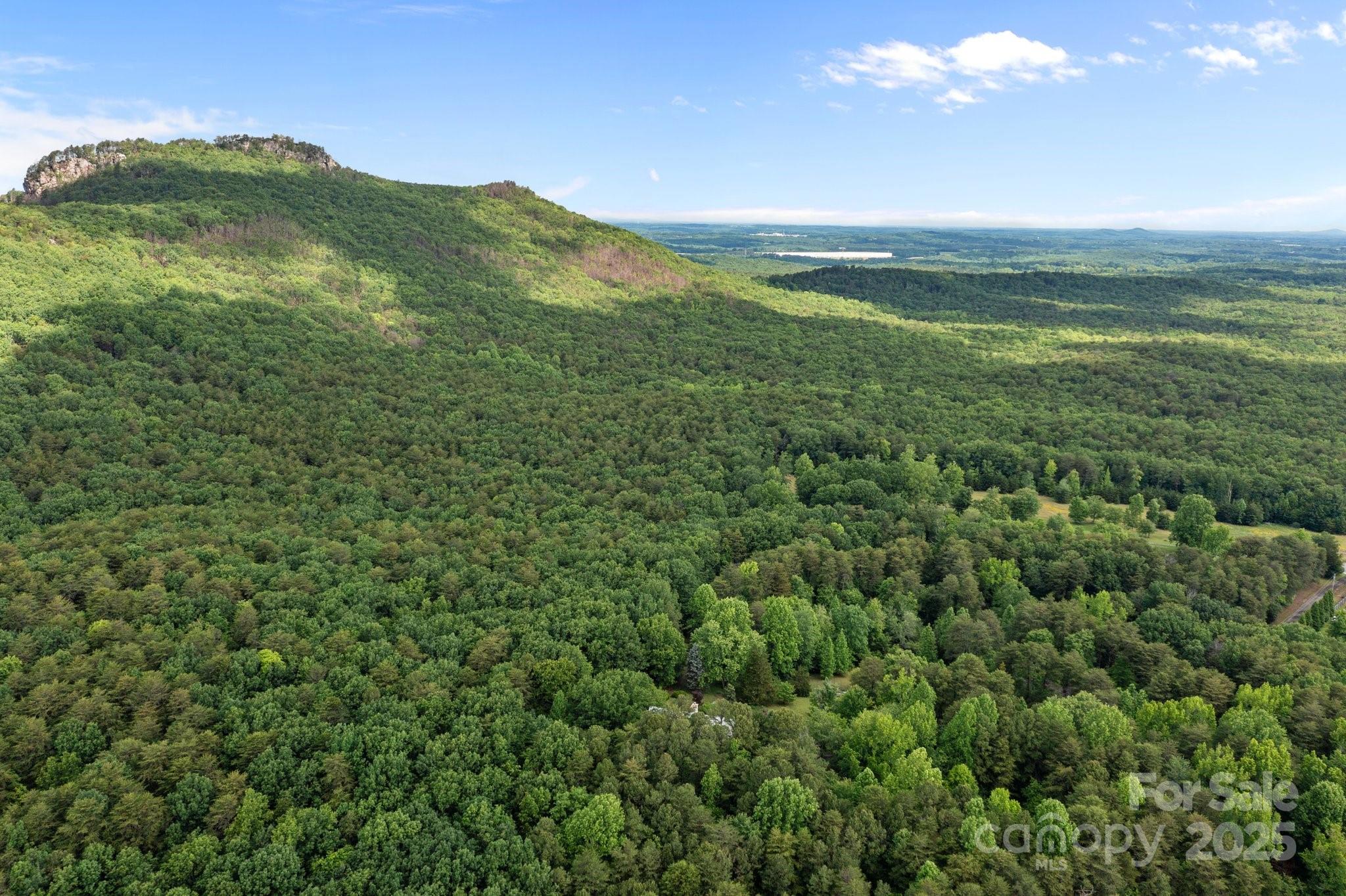 0 Pinnacle Road Kings Mountain, NC 28086 - Photo 8 of 12