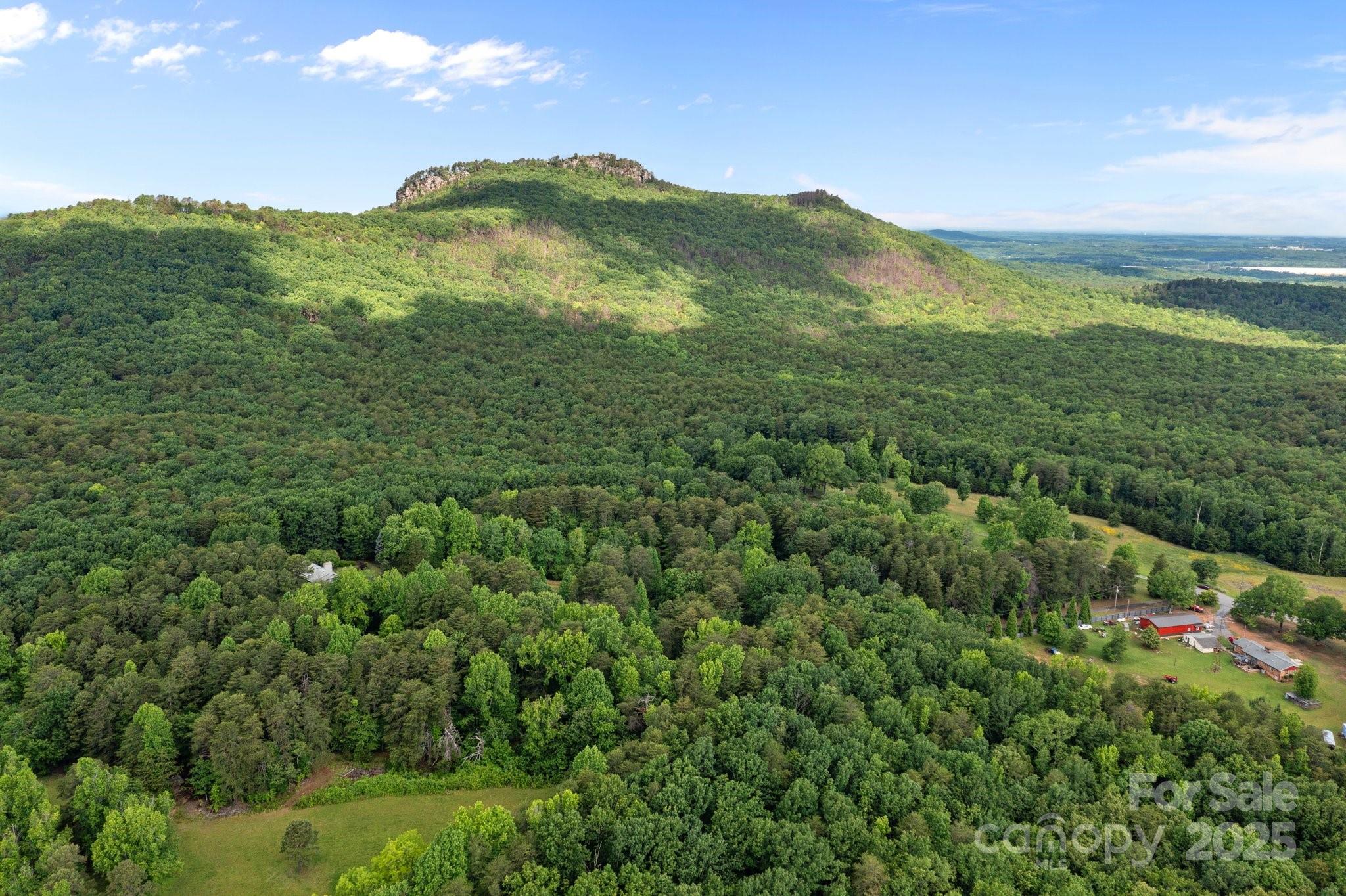 0 Pinnacle Road Kings Mountain, NC 28086 - Photo 9 of 12