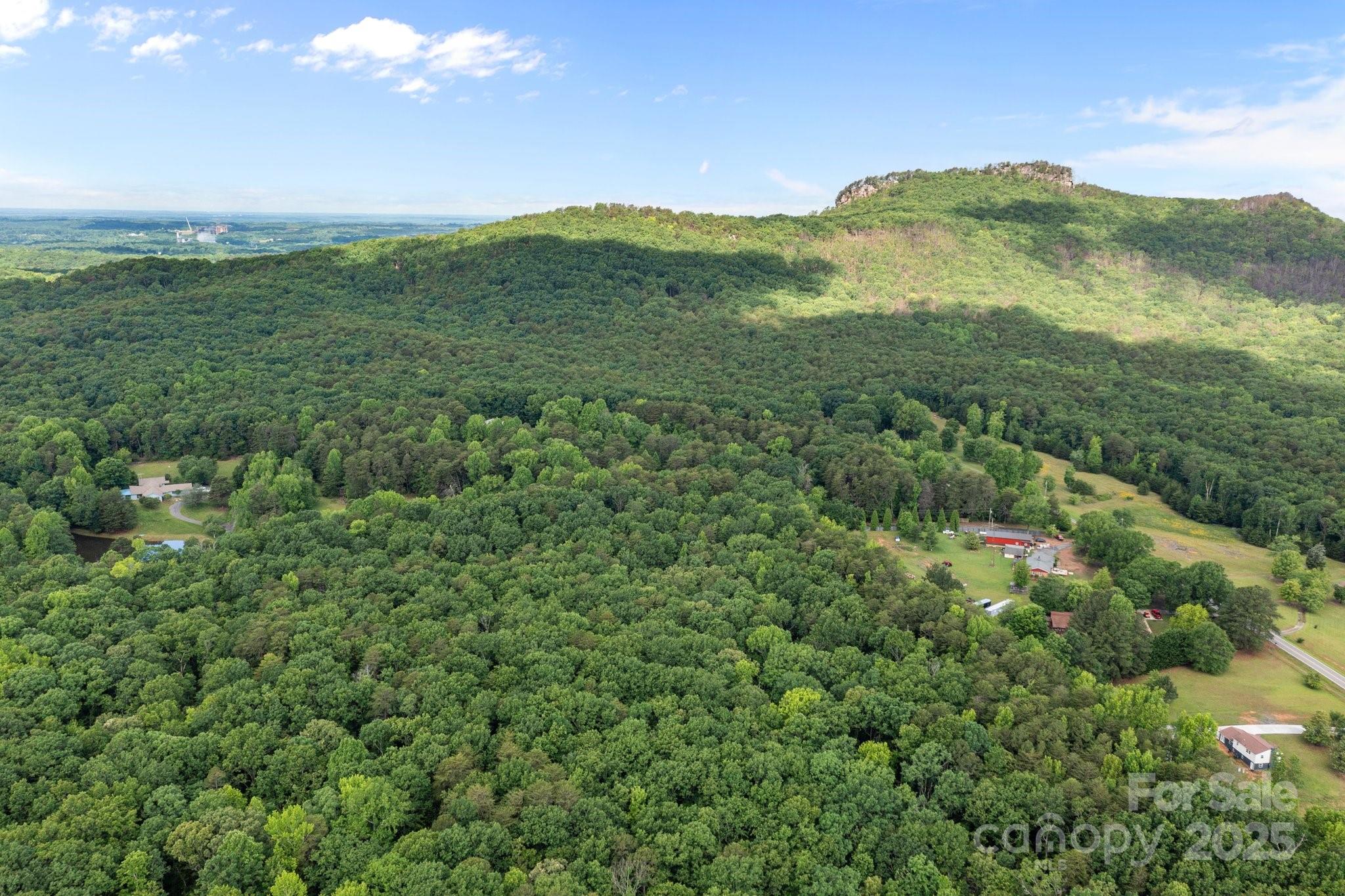 0 Pinnacle Road Kings Mountain, NC 28086 - Photo 10 of 12