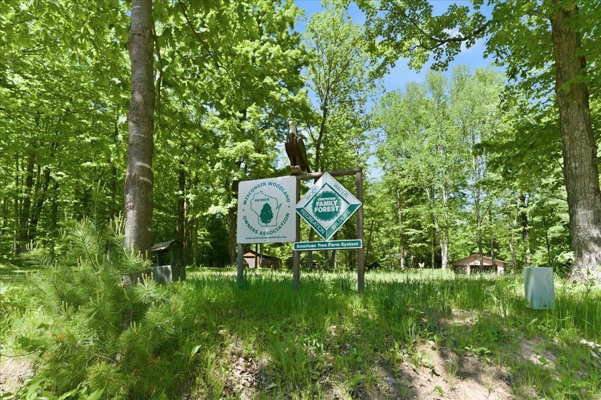 14754 North McComb Lake Road Mountain, WI 54149 - Photo 53 of 82