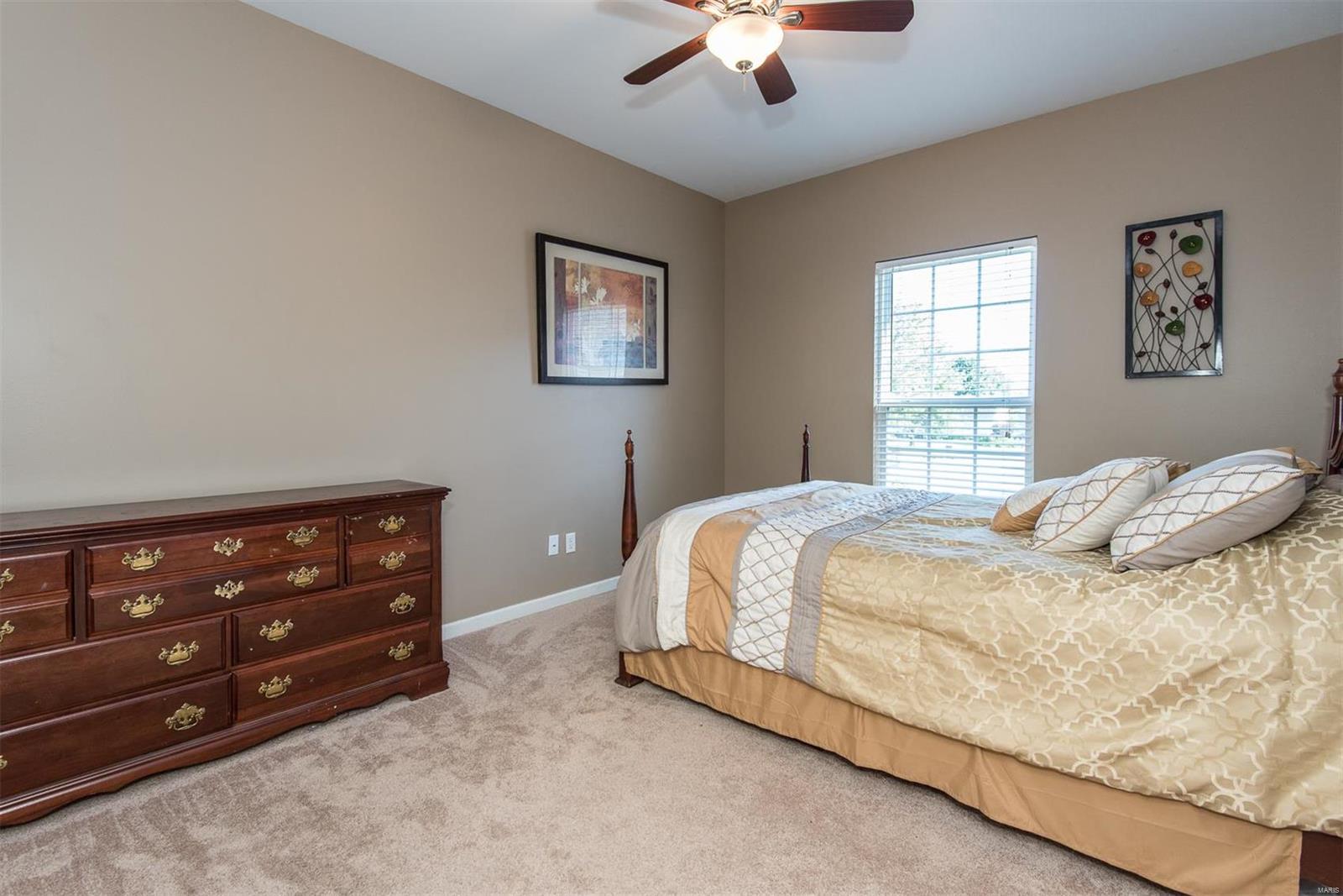 6 Raintree Crossing Court O'Fallon, MO 63366 - Photo 26 of 46