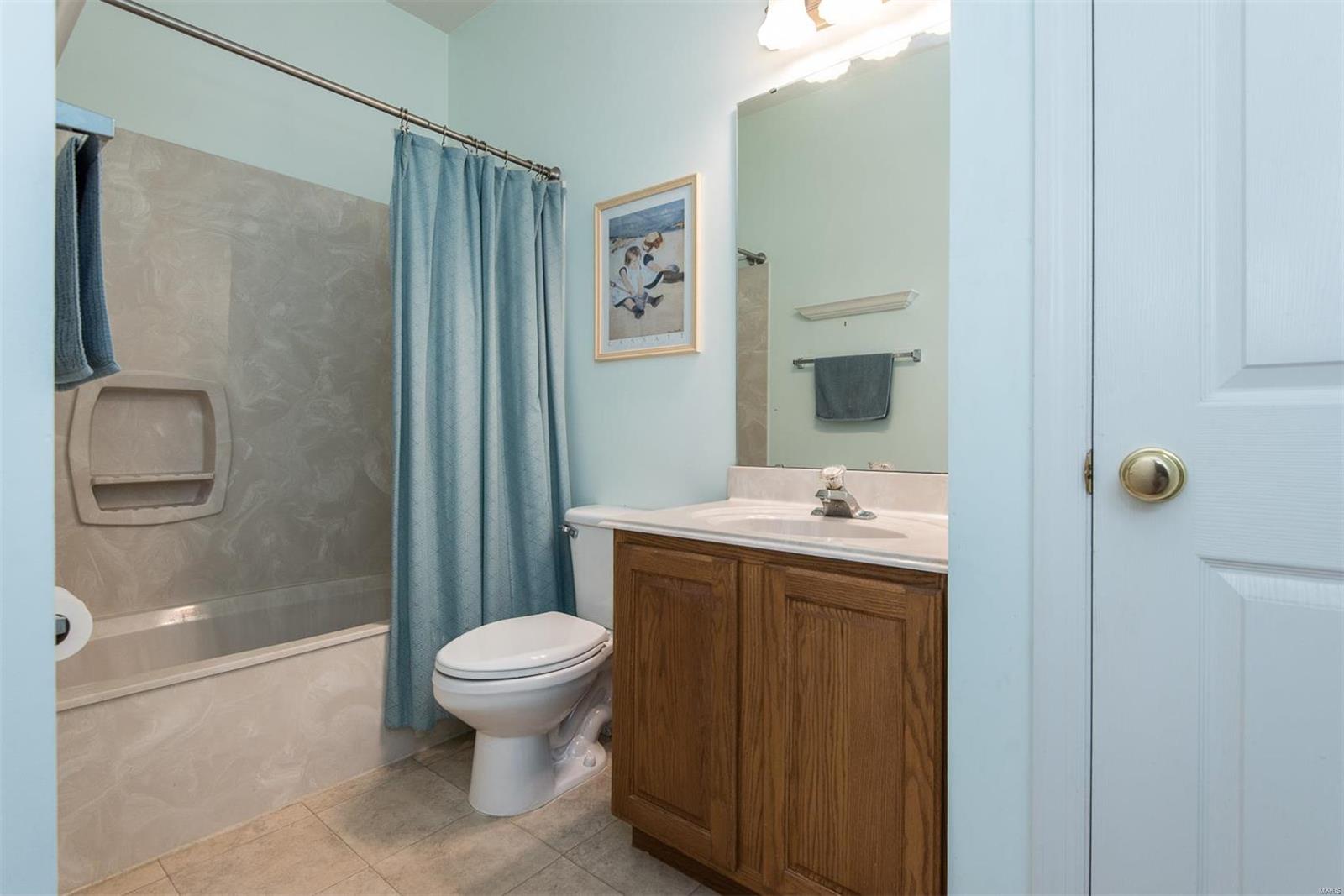 6 Raintree Crossing Court O'Fallon, MO 63366 - Photo 28 of 46