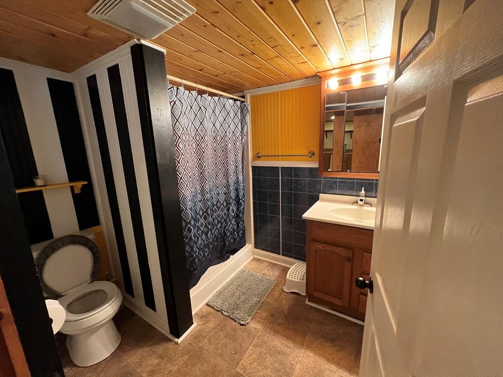 68 Dorr Spring Spring City, TN 37381 - Photo 37 of 42 a bathroom with a sink toilet and shower