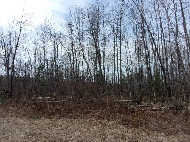 On Krake Road Townsend, WI 54175 - Photo 2 of 6 Gallery Image 2