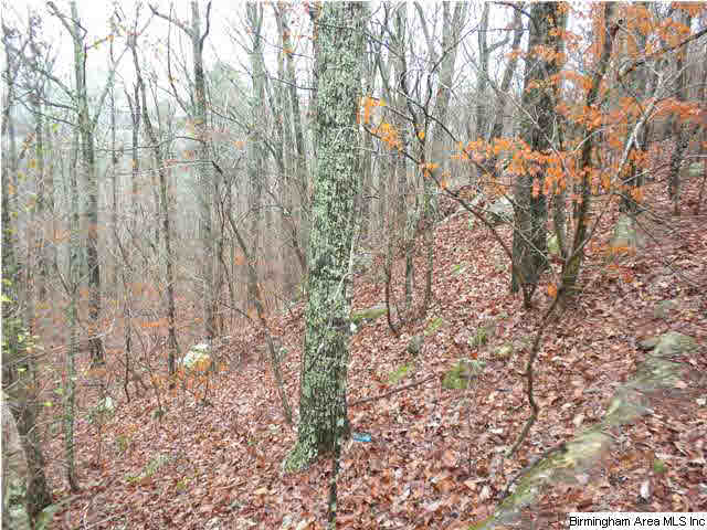 South Shades Crest Road Birmingham, AL 35214 - Photo 4 of 6