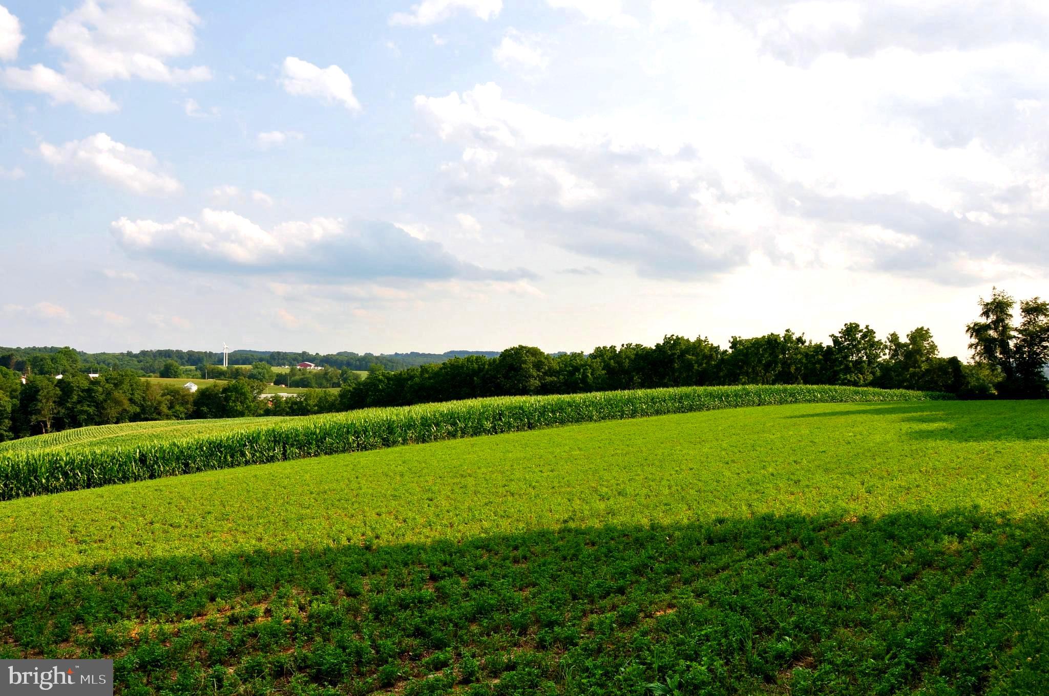 5151 Sinsheim School Road Spring Grove, PA 17362 - Photo 3 of 74